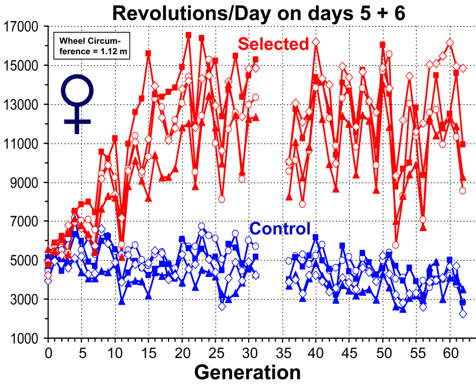 Graph: Female Runs