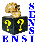 ENSIweb Logo